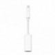 Apple Adaptateur Thunderbolt vers FireWire