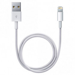 Câble Apple Lightning vers USB (tous modèles)