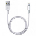 Câble Apple Lightning vers USB (tous modèles, longueur standard 1m)
