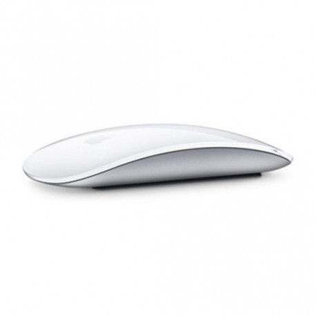 Apple Souris Magic Mouse 2 Wireless