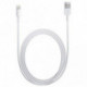 Câble Apple Lightning vers USB (tous modèles, longueur 2m)