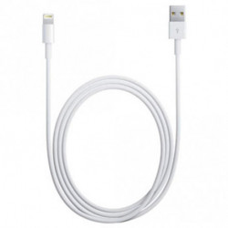 Câble Apple Lightning vers USB (tous modèles, longueur 2m)
