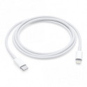 Apple Câble USB-C vers Lightning (2m) MKQ42