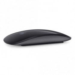 Apple Souris Magic Mouse 2 Wireless (gris sidéral)