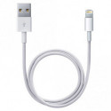 Apple Câble Apple Lightning USB (2m) MD819