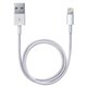 Apple Câble Apple Lightning USB (2m)