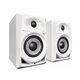 Pioneer DJ Enceinte Bibliothèque Blanc DM-40 White