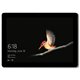 Microsoft Surface Pro i5 8Go/128Go SSD 12,3" (Platine) KJR-00003