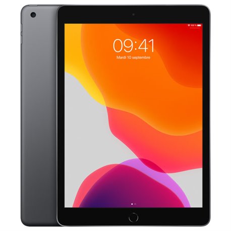 Apple iPad 10,2" 128Go Wi-Fi (gris sidéral) MW772 (late 2019)