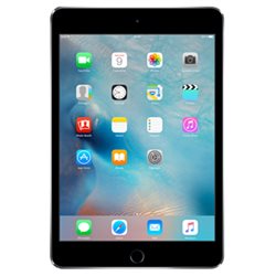 Apple iPad mini 4 Retina 64Go Wi-Fi (gris sidéral) MK9G2