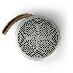 Tivoli Enceinte Bluetooth Go Andiamo Silver