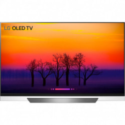 LG TV OLED 55E8 Reconditionné