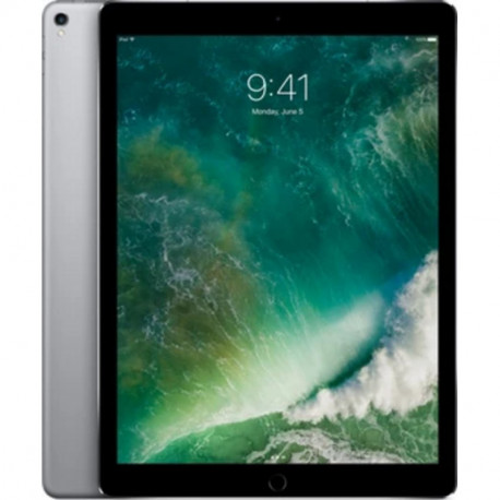 Apple iPad Pro 10,5” Wi-Fi Cellular 256Go Gris Sidéral MPHG2