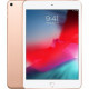 IPAD MINI WI-FI CELLULAR 64GB