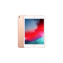 Apple iPad mini 7,9'' 64Go Wi-Fi (Or) MUQY2 (early 2019)