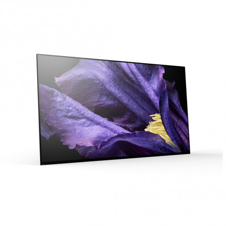 Sony TV OLED 65AF9BAEP Android TV (occasion)