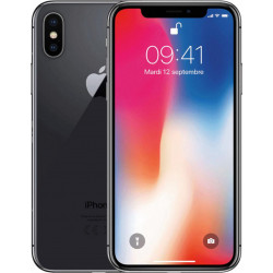 Apple iPhone X 256Go Gris sidéral MQAF2