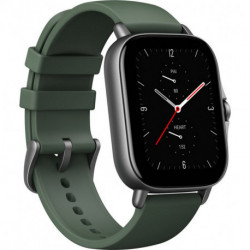 Amazfit Montre connectée GTS 2e Moss Green