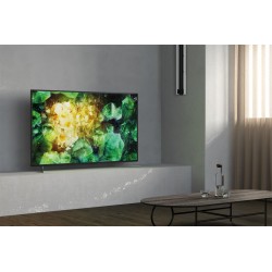 SONY TV LED Sony KD49XH8196BAEP