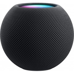 Apple Enceinte résidentielle HomePod Mini Gris Sideral