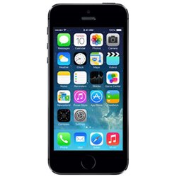 Apple iPhone 5s 64Go gris sidéral