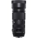 Sigma Objectif pour Reflex 100-400mm F5-6.3 pour Nikon