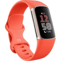 Fitbit Bracelet connecté Charge 6 champagne Gold et Corail