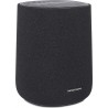 Harman Kardon Enceinte résidentielle Enchant Speaker