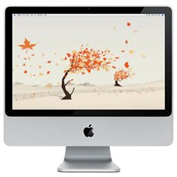 Apple iMac Intel 2,4GHz 4Go/250Go SuperDrive 20"