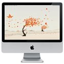 Apple iMac Intel 2,4GHz 4Go/250Go SuperDrive 20"