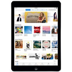 Apple iPad Air Retina 64Go Wi-Fi + Cellular (gris sidéral)