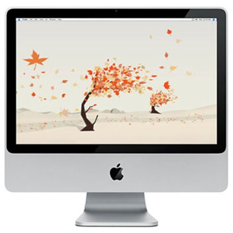 Apple iMac Intel 2,4GHz 2Go/250Go SuperDrive 20"