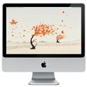 Apple iMac Intel 2,4GHz 2Go/250Go SuperDrive 20"